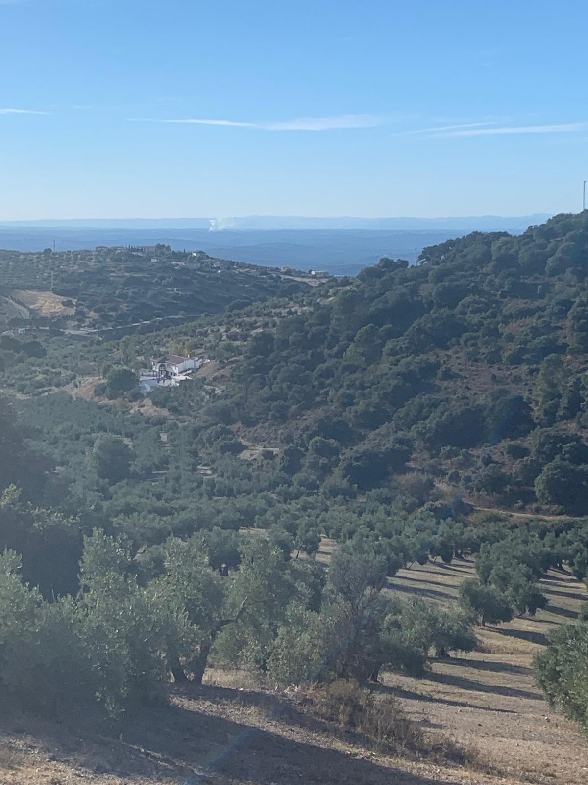 Alrededores de la casa rural con olivares y cielo azul