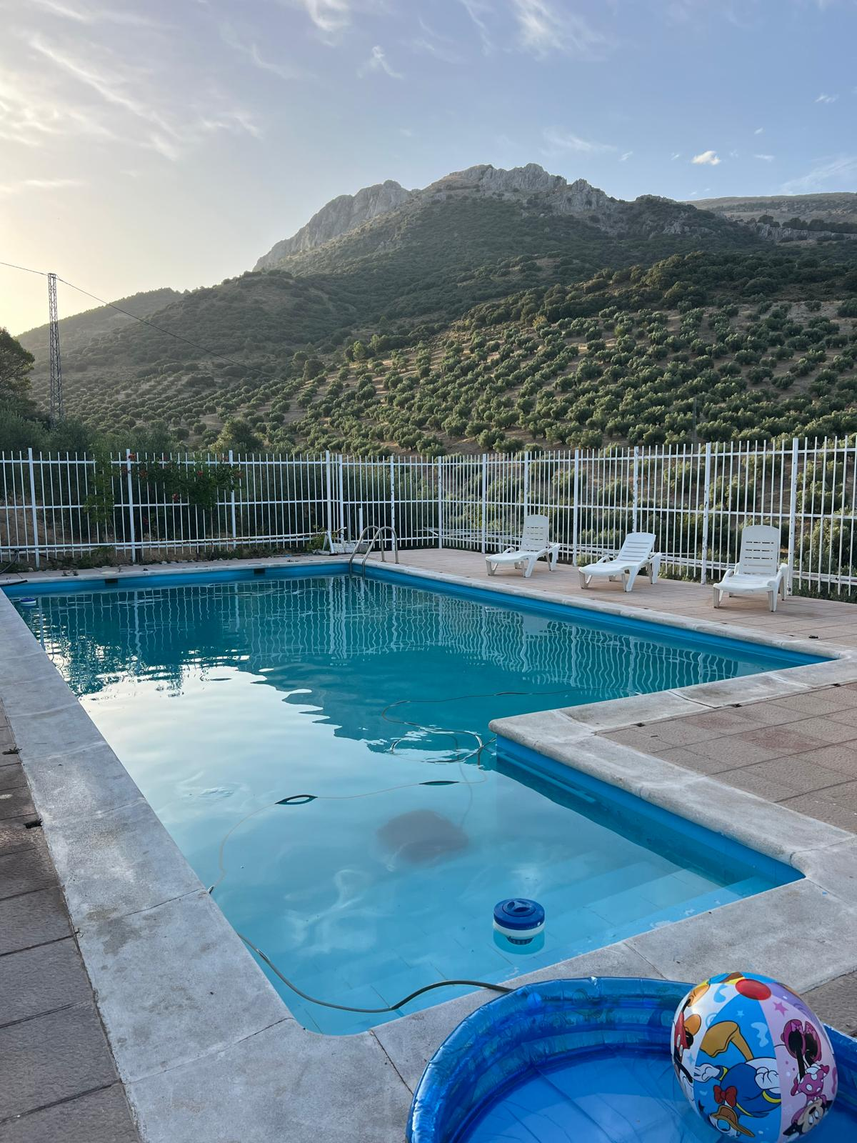 Piscina al atardecer con las hamacas y el olivar de la sierra